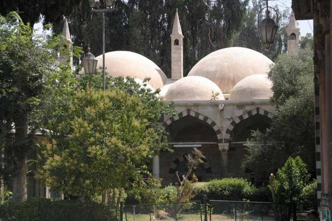 جنينة النعنع: