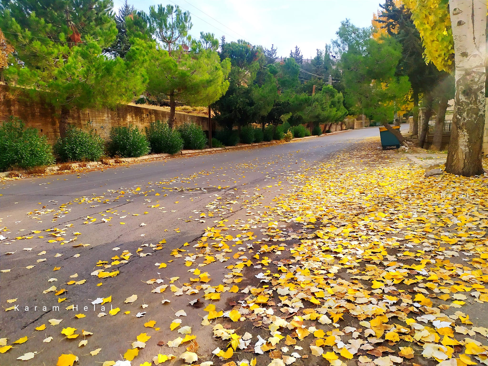 بلودان الصيف - bloudan in the summer