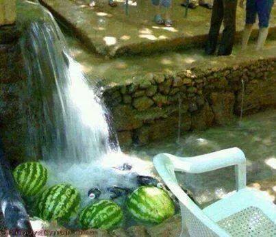 السيران الشامي -Picnic