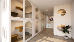 Pets Patio: The First (and Cutest) Hotel For Cats in Damascus!